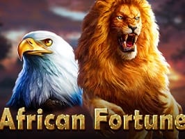 African Fortune game cover