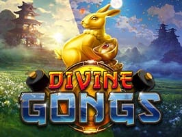 Divine Gongs game cover