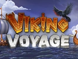 Viking Voyage game cover